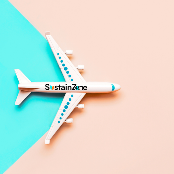 Flying Toward a Greener Future: Sustainability in the Aviation Industry 